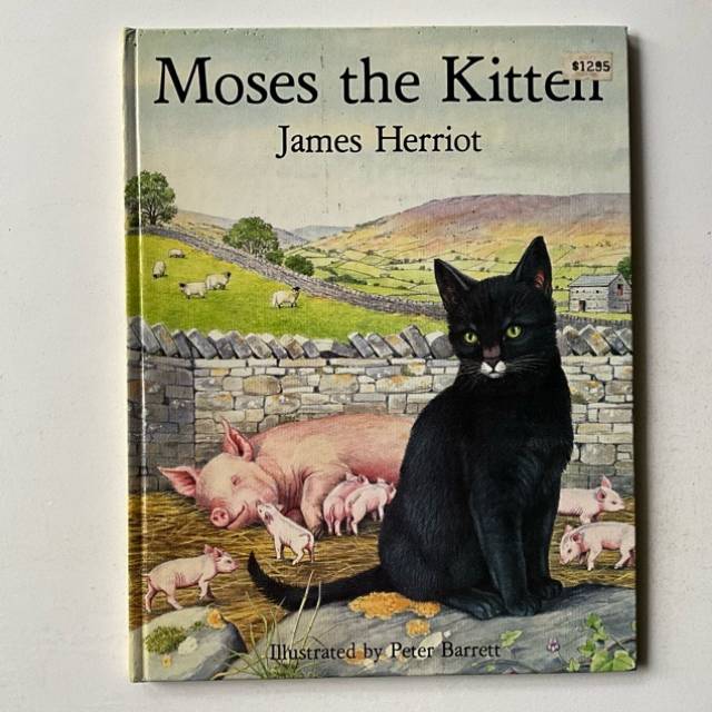 Moses the Kitten 1984