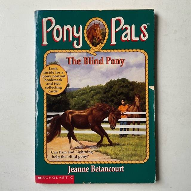 Pony Pals The Blind Pony